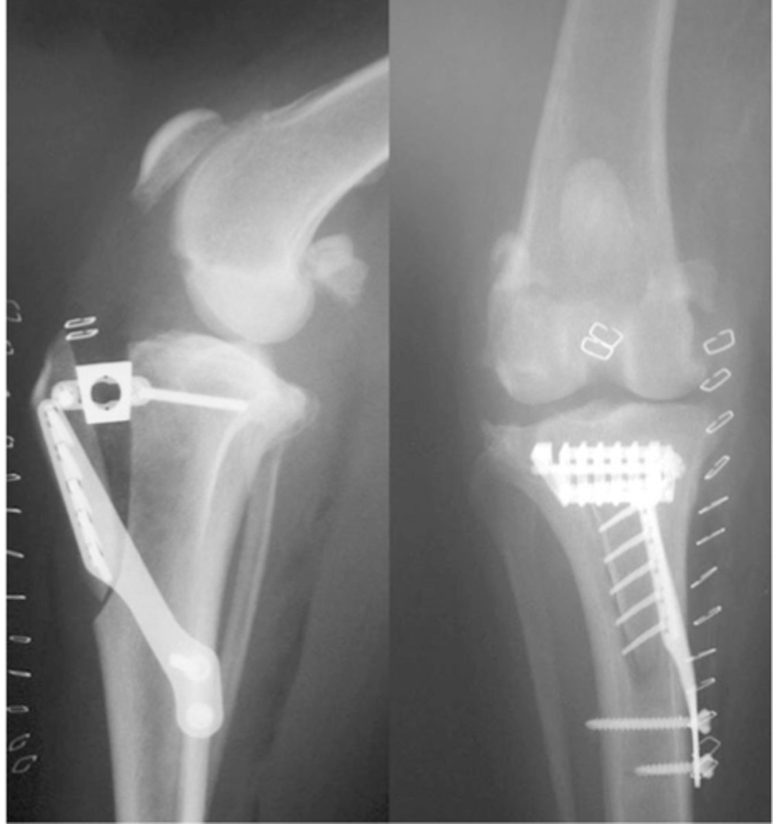 <p>what is shown here</p>