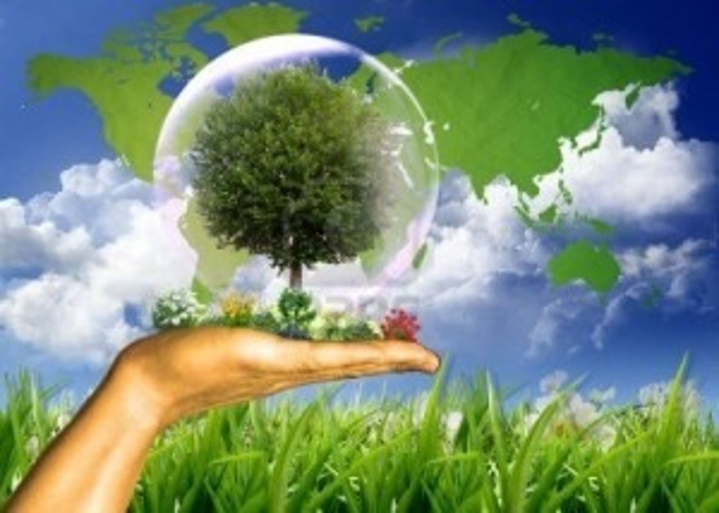 <p>ecological act or gesture</p>