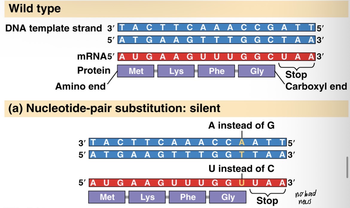 <p>Change in one letter, same outcome</p>
