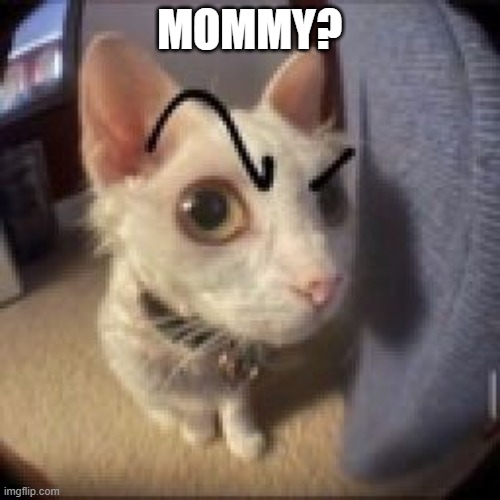 <p>Arnaldo Momigliano</p>