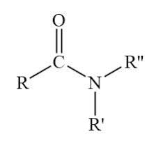carbon double bonded to an O, bonded to a nitrogen with two Rs, and bonded to another R