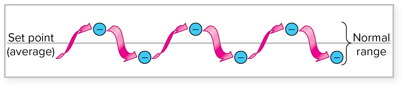 <p>dynamic constancy</p>