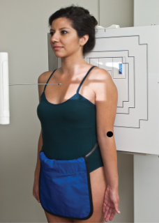 <p>name the projection/position</p>