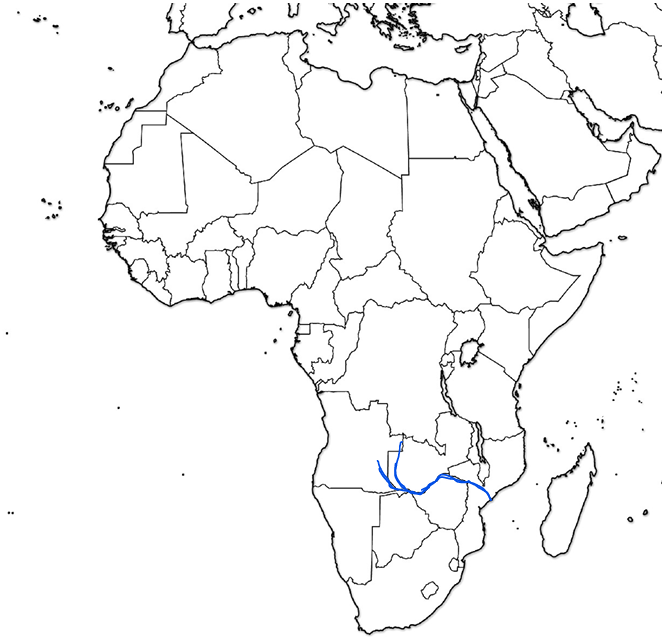 <p>What river is this?</p>