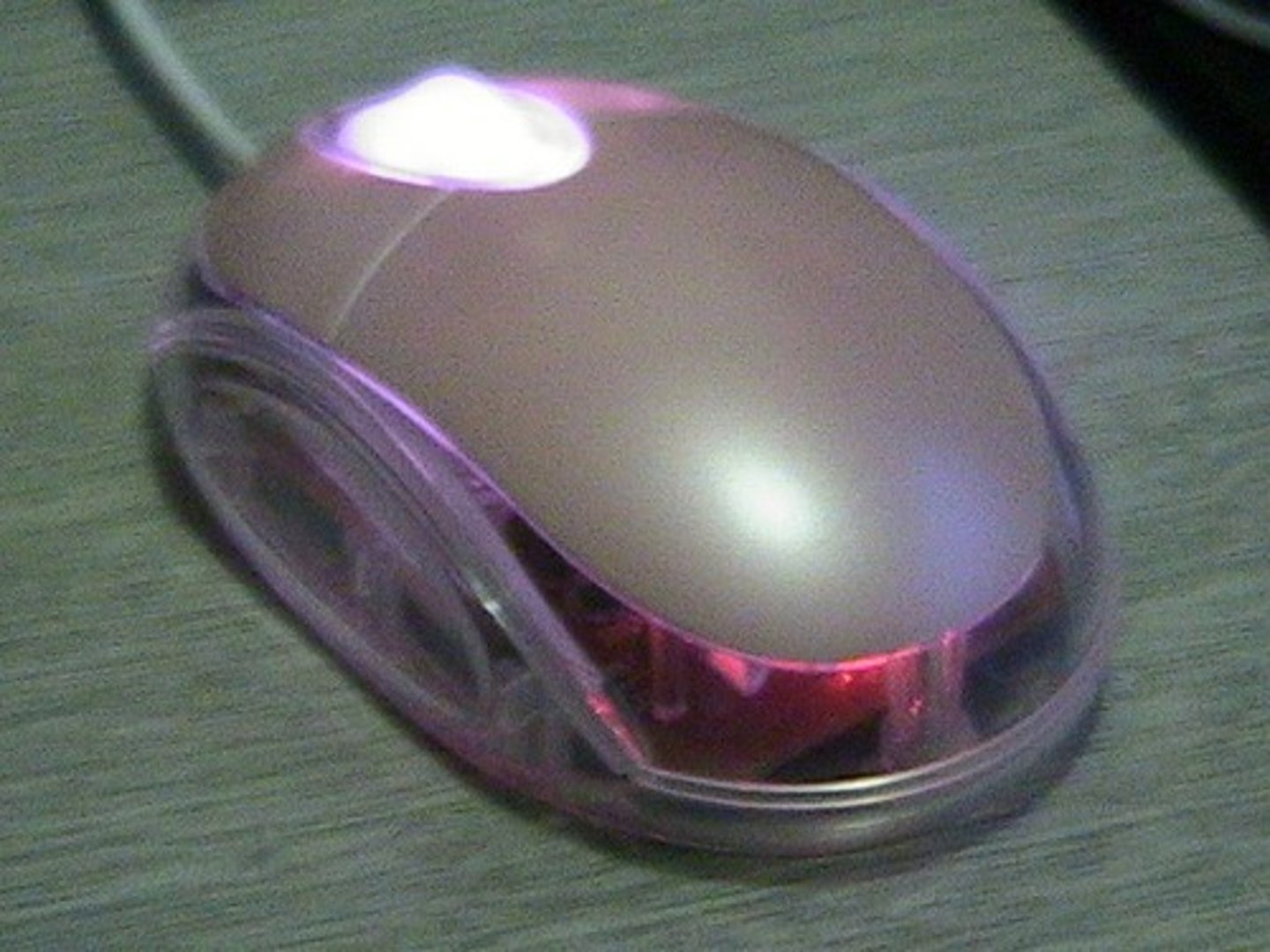 <p>computer mouse</p>