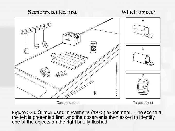 <p>-Created an experiment to illustrate how our knowledge about the environment influences perception</p><p>-First provided a “context scene”, like a kitchen, then flashes a target picture</p><p>-He then asks observers the identify the target object from the pictures on the right</p>