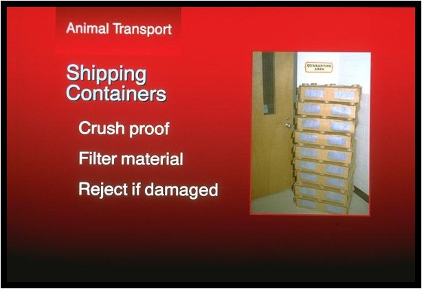 <ul><li><p><span>Move from location to location</span></p></li><li><p><span>Two types</span></p><ul><li><p><span>Shipping crate; used by suppliers to ship animals to facilities that will contain food, water, bedding</span></p></li><li><p><span>Portable holding cage – used for movement within the facility.&nbsp; Temporary housing that does not contain food, water, </span> <span>bedding.</span></p></li></ul></li><li><p><span>Handheld or on wheels</span></p></li></ul><p></p>