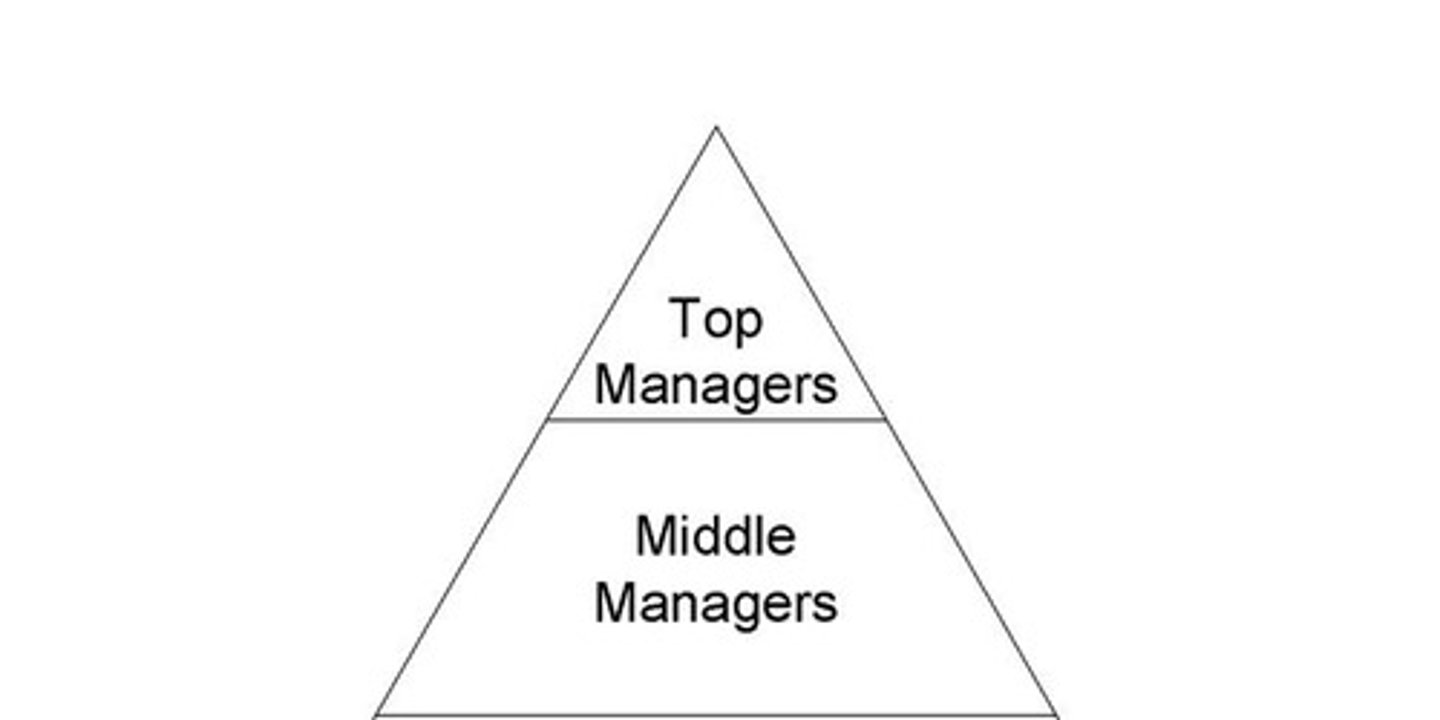 <p>First-line managers, middle managers, and top managers.</p>