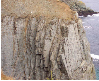 * Splitting of rock through pressure exerted when water freezes
  * Freezing water expands by 9.2%
* Coastal areas which oscillate around the freezing point are prone to this