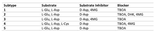 What is the substrate inhibitor for EAATs 1 and 3, but blocker for EAATs 2 and 4?