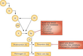 <p><strong>Direct Factor Xa inhibitors</strong></p><p><span style="font-family: Aptos, sans-serif; line-height: 115%;"><span>How do direct Factor Xa inhibitors differ from warfarin?</span></span></p>