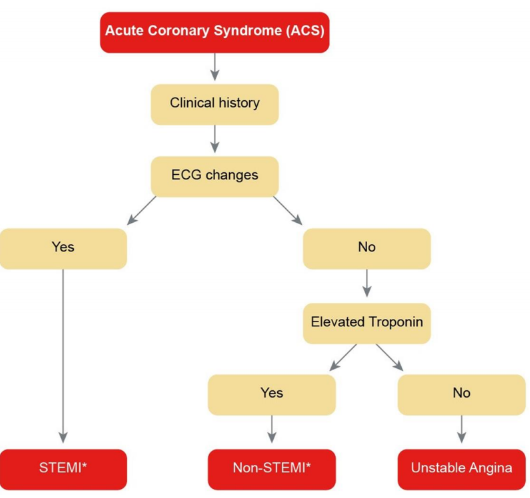 <p>• Two isomers of troponin C, heart and skeletal are identical, not useful</p><p>• Cardiac specific- cTnT, cTnI</p><p>• cTnT- 11 unique amino acids provide specificity, small amount found in skeletal muscles but can be increased in patients with muscular dystrophy</p><p>• cTnI- unique to cardiac muscle, one isomer identified</p>