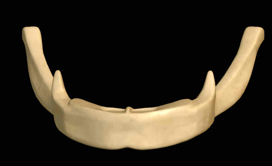 <p>Name the bone</p>