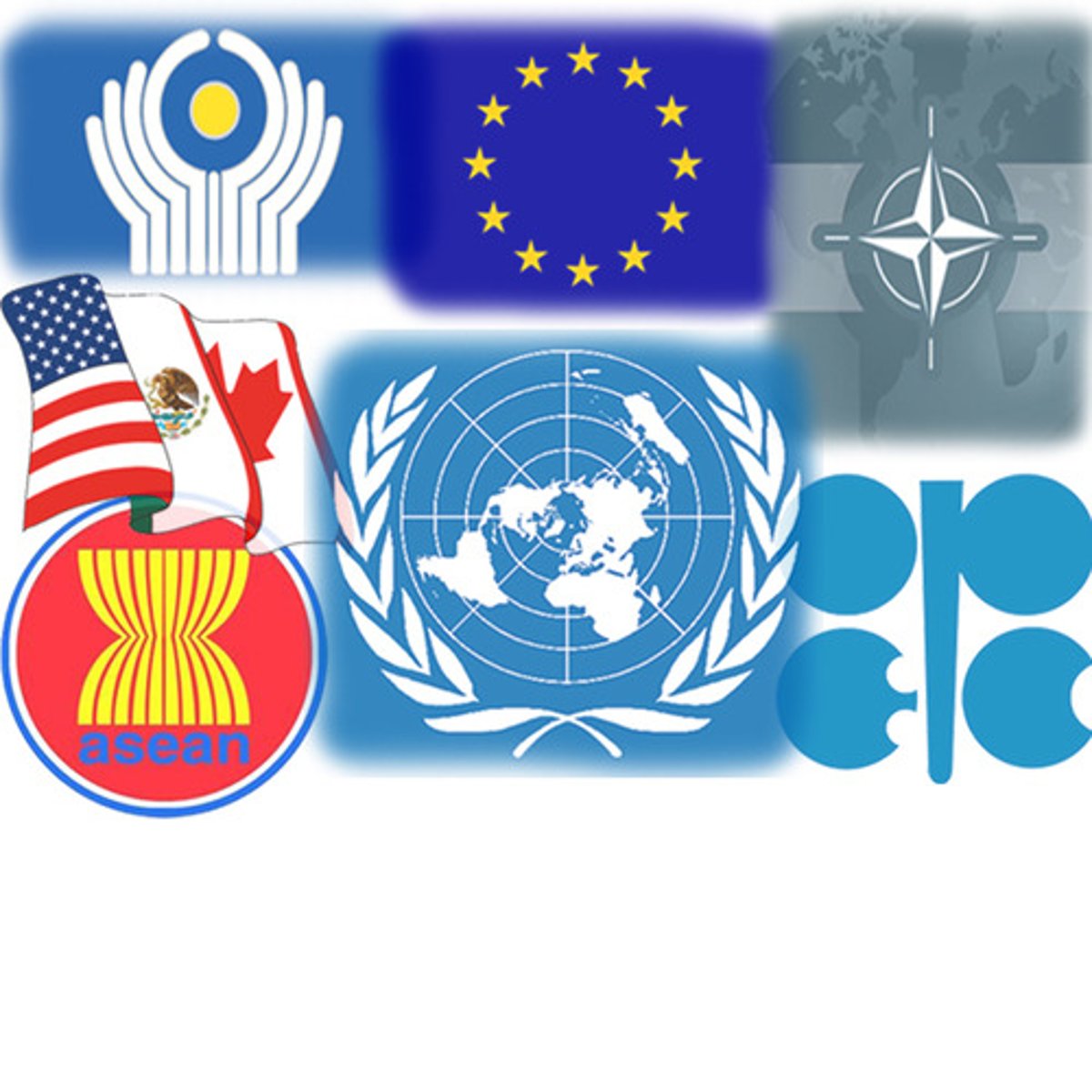 <p>Global organization composed of three or more countries that come together for their mutual benefit, in pursuit of shared goals</p>
