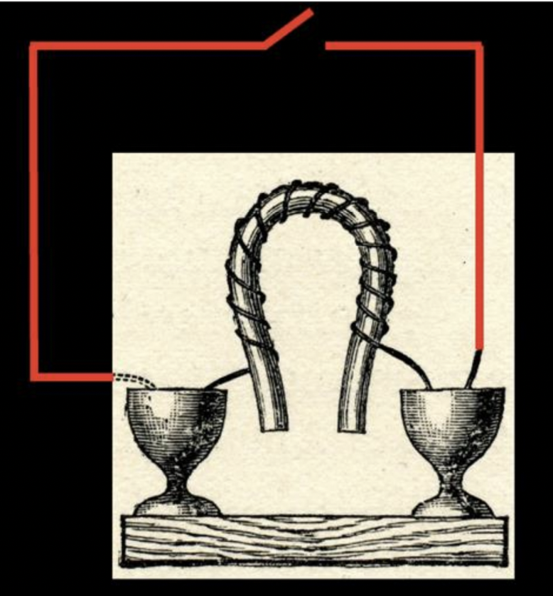 knowt flashcard image