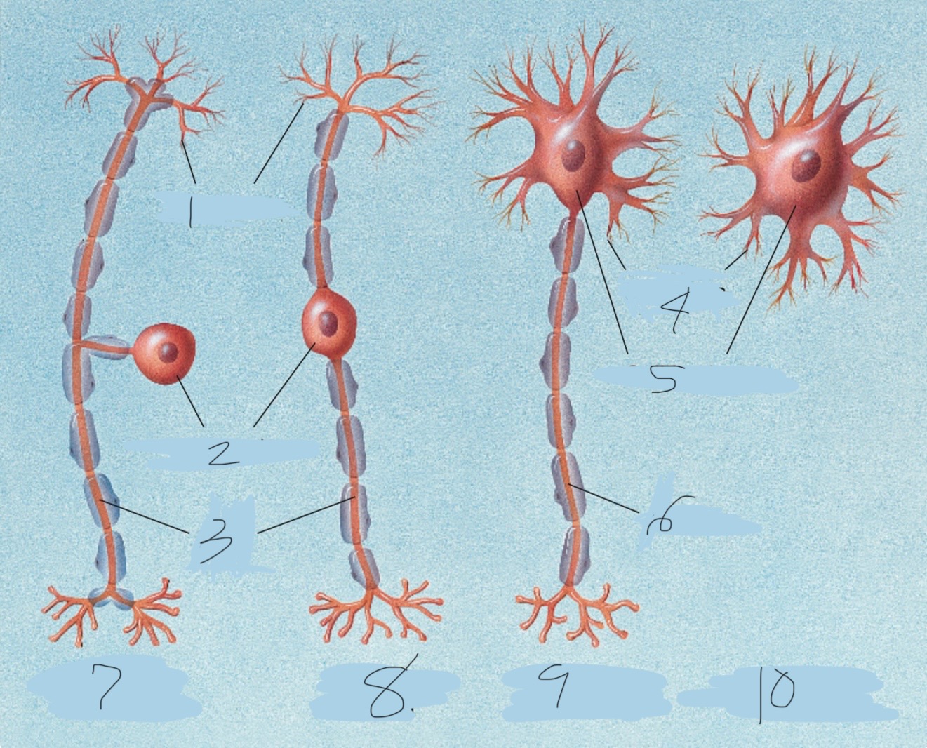 knowt flashcard image
