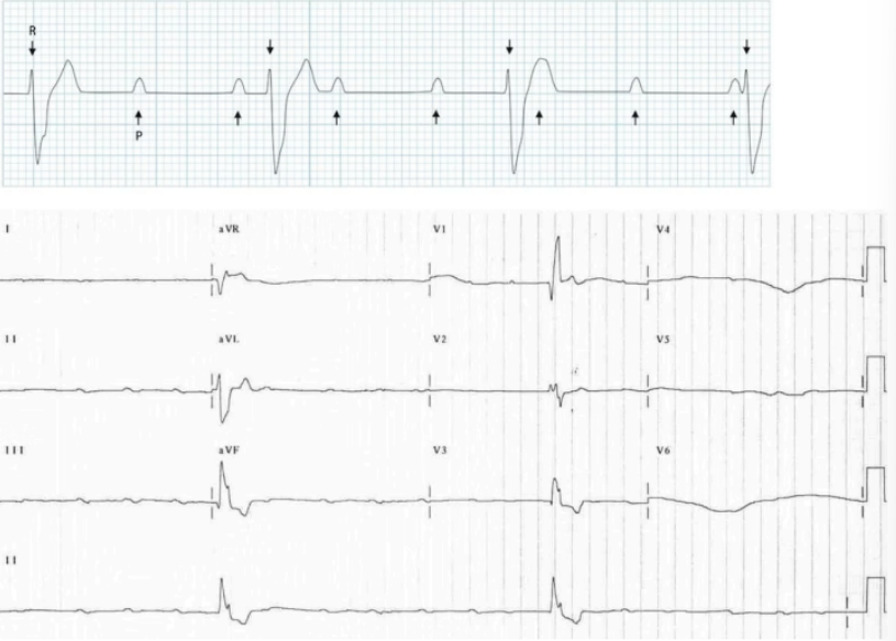 <p>What does this indicate</p>