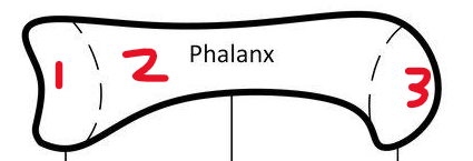 <p>1</p>