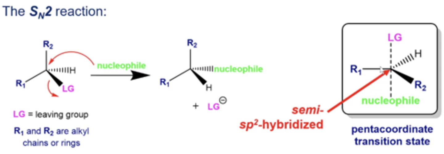 <p>the nucleophile does a backside attack, forming a transition state that is a pentacoordinate, with a central carbon being approximately sp2-hybridized</p>