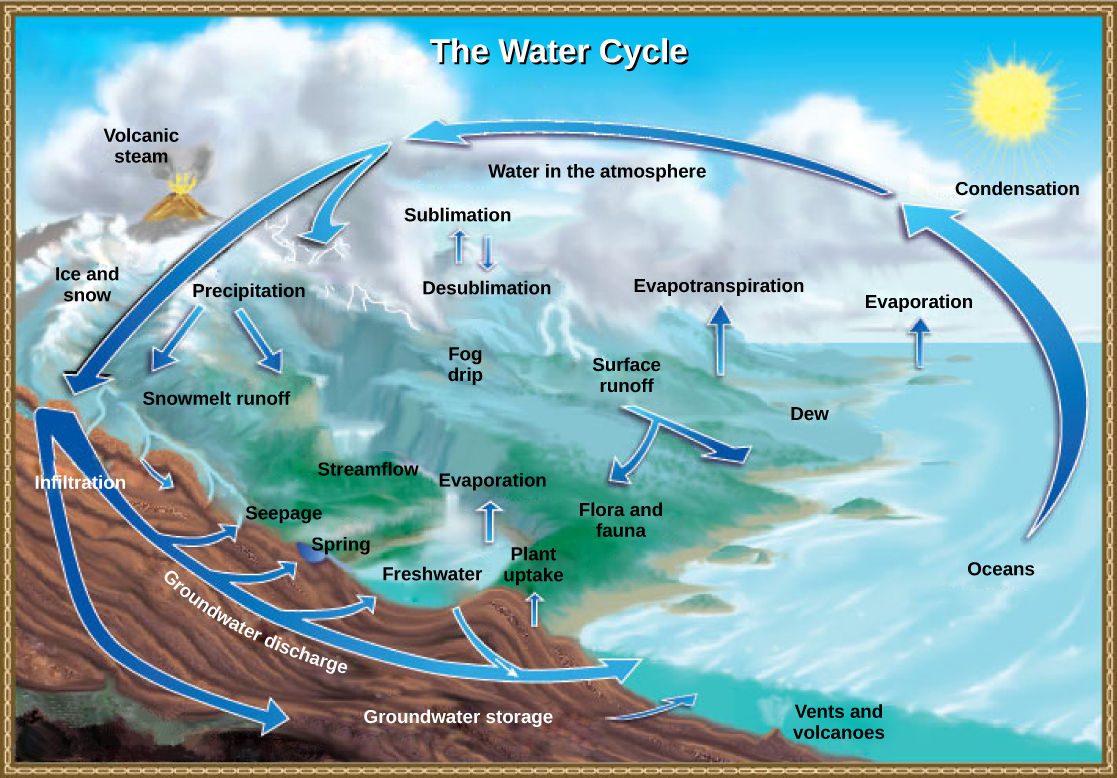 <p>the path that all water follows as it moves around Earth in different states</p>