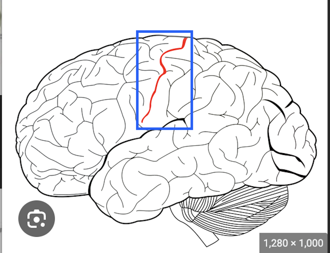 <p>what is this </p>