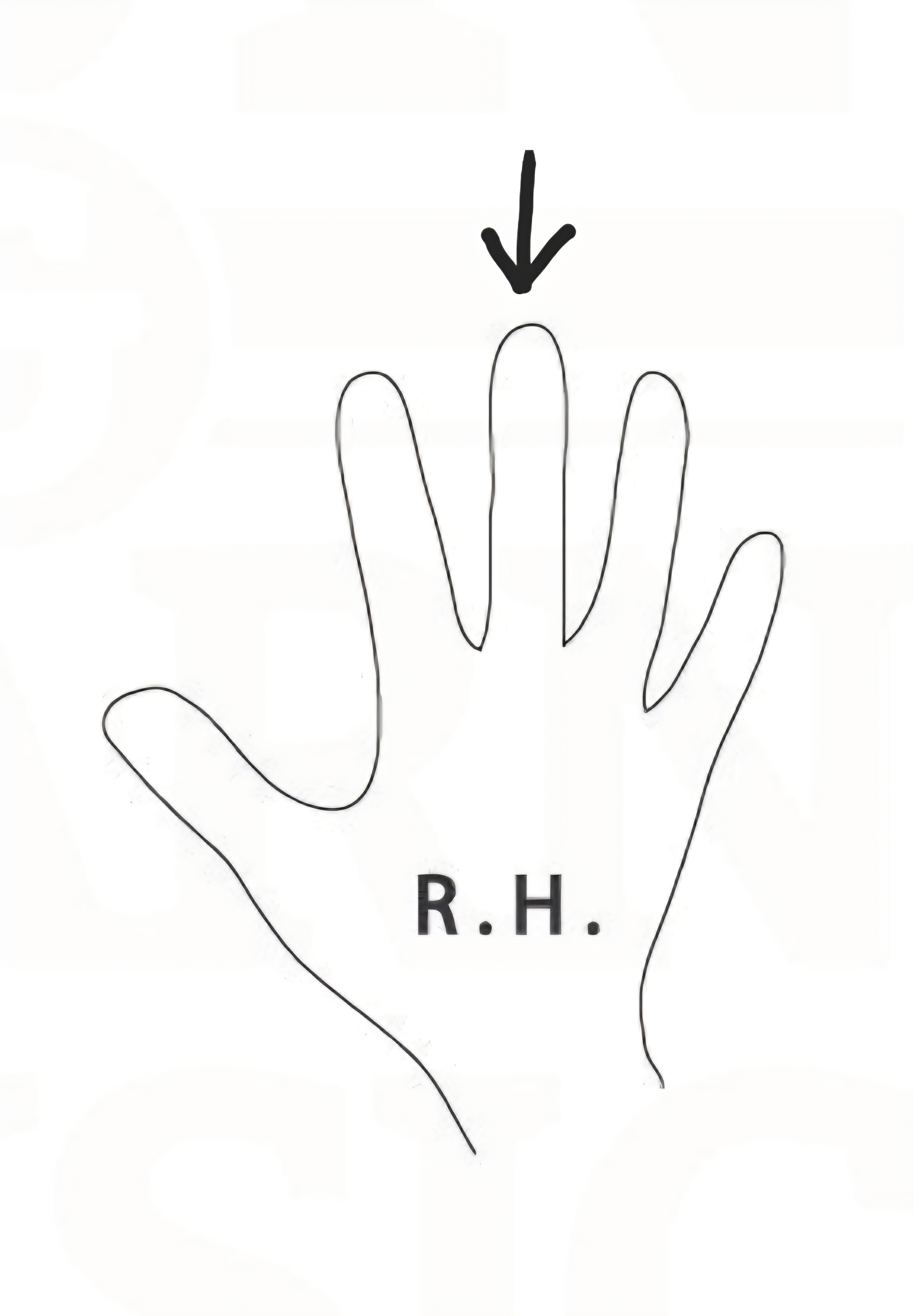 <p>Name the finger number</p>