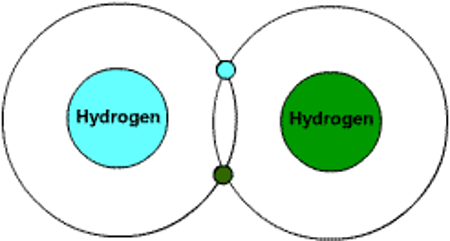 <p>Two or more atoms bonded together</p>
