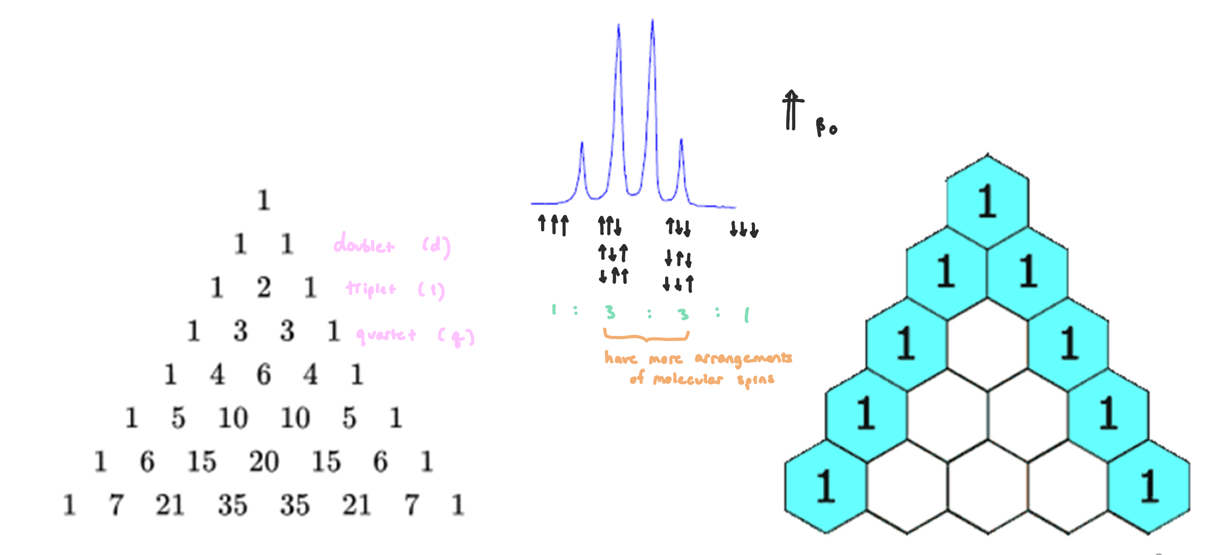 <ul><li><p>splitting patterns follow similarly to Pascal’s Triangle</p></li><li><p>the number of signals a nuclei will exhibit depends on the number of active nuclei it is surrounded by (2-3 bonds away)</p></li></ul><p></p>