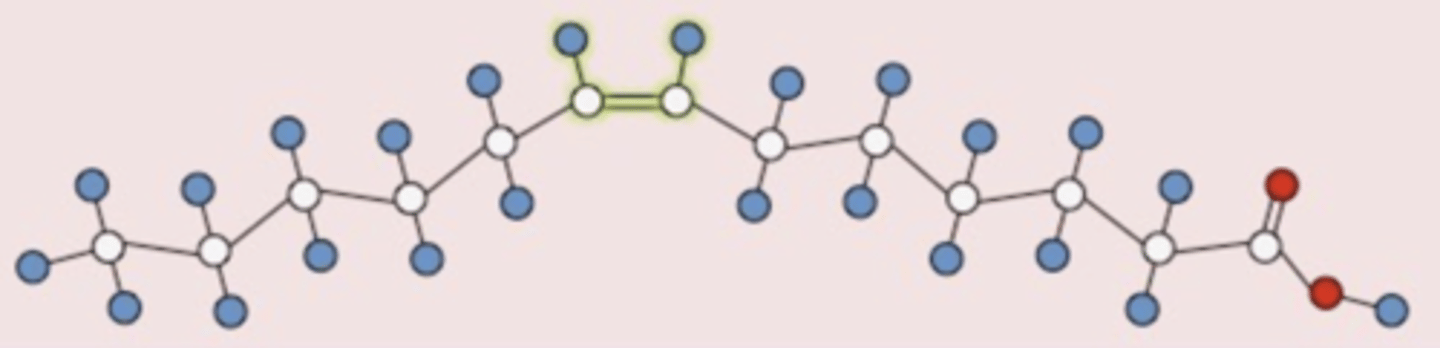 <p>What configuration is this double bond in?</p>