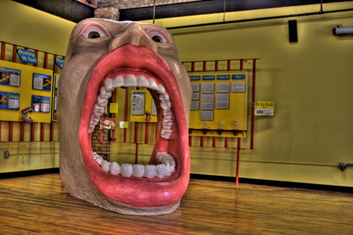 <p>first part of the alimentary canal that works in ingestion (only part) and digestion (mechanical and chemical)</p><p>Mechanical Digestion: teeth (mastication)</p><p>Chemical Digestion: saliva (amylase enzyme digests starch)</p><p>Other Functions: mucin (slippery protein found in mucus that protects soft lining and lubricates food), buffers (neutralizes acid to prevent tooth decay), anti-bacterial chemicals (kill bacteria that enter with food)</p><p>Three Salivary Glands Help: parotid, submandibular, sublingual (all secrete mucus, serous fluid, etc.)</p>