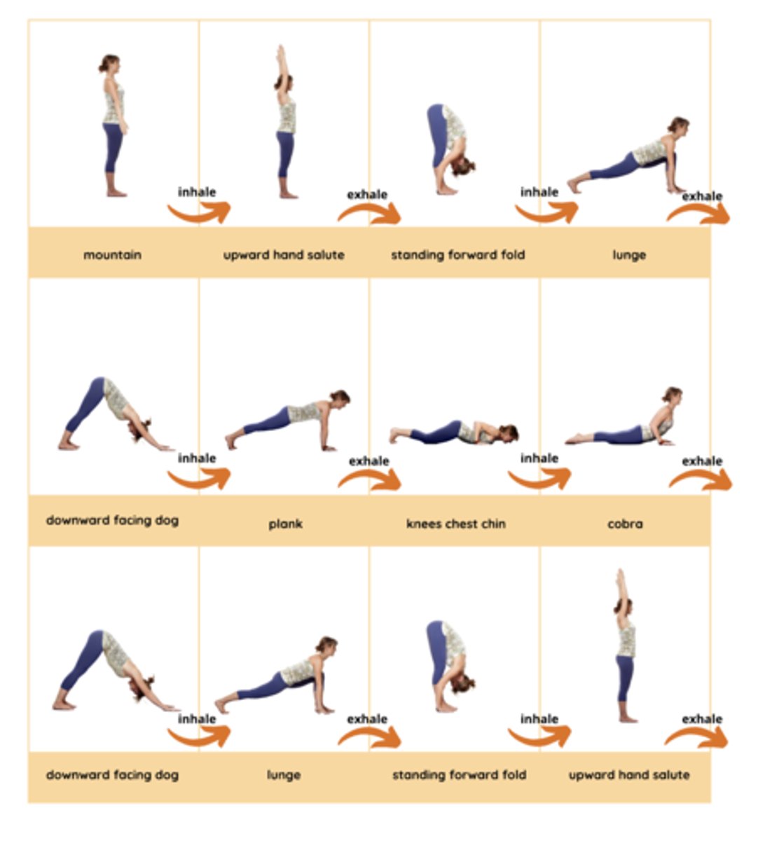 <p>Mountain Pose, Upward Hand Salute, Standing Forward Fold, Lunge, Downward Facing Dog, Plank Pose, Knees-Chest-Chin, Cobra, Downward Facing Dog, Lunge, Standing Forward Fold, Upward Hand Salute, Mountain Pose</p>
