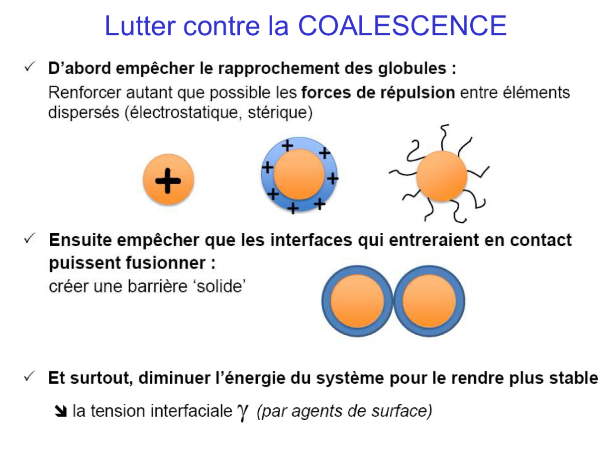 <ul><li><p><strong>D'abord empêcher le rapprochement des globules</strong> :</p><ul><li><p>Renforcer autant que possible les <span style="color: blue;"><strong>forces de répulsion</strong></span> entre éléments dispersés (électrostatique (on rajoute des électrolytes), stérique (comme des polymères hydrosolubles qui vont se mettre autour des globules)  </p></li></ul></li></ul><p></p><ul><li><p><strong>Ensuite empêcher que les interfaces qui entreraient en contact puissent fusionner </strong>: Créer une barrière « solide »</p></li></ul><p></p><ul><li><p><strong>Et surtout, diminuer l'énergie du système pour le rendre plus stable</strong></p><ul><li><p>Diminuer la tension interfaciale <strong>γ</strong> (par agents de surface)</p></li></ul></li></ul><p></p>