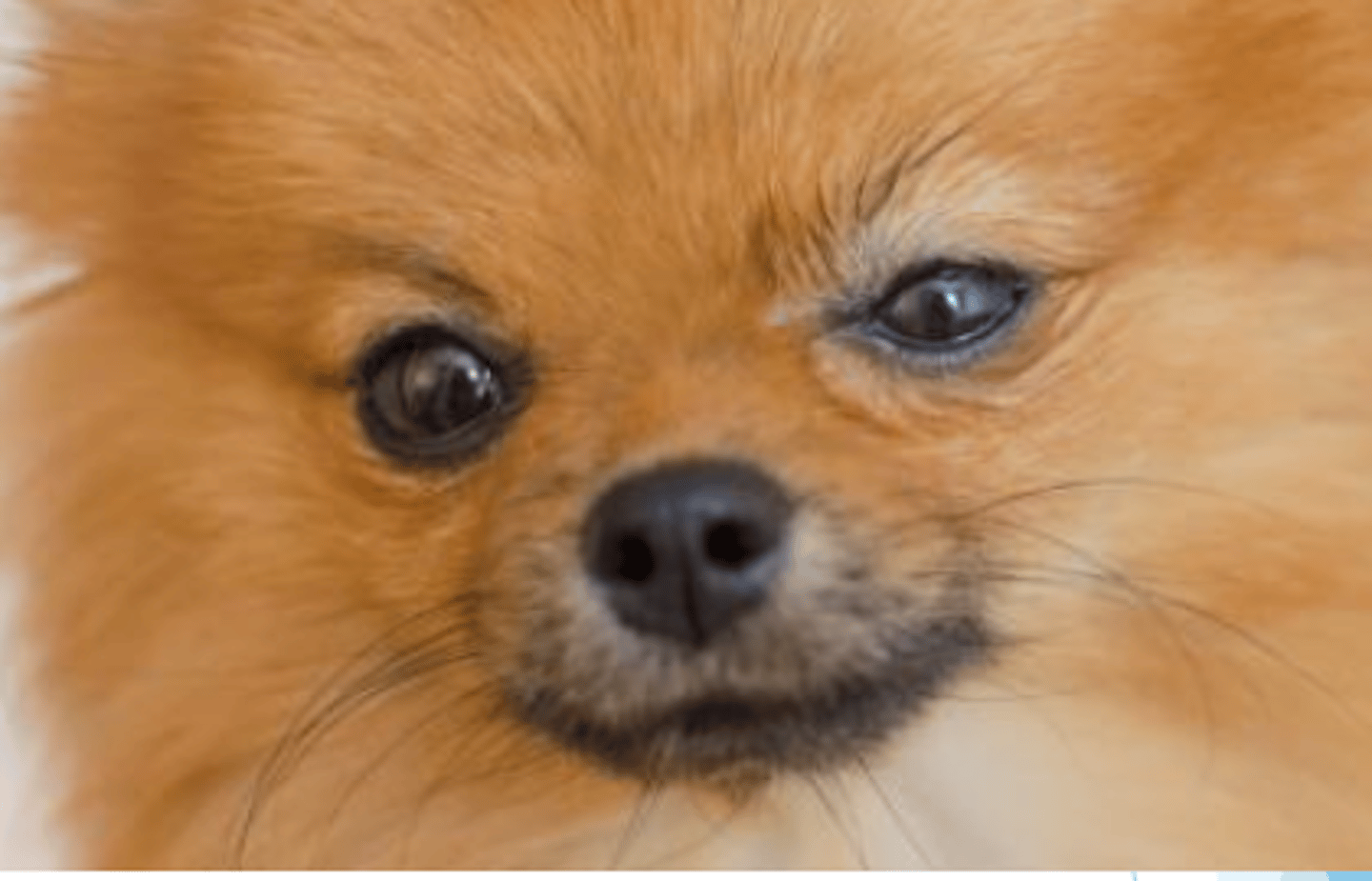 <p>what is this called?</p>