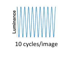 <p><span style="background-color: inherit; line-height: 20.7px; color: windowtext;"><span>Sinewave or Sinusodial gratings – look at luminous profile</span></span><span style="line-height: 20.7px; color: windowtext;"><span> </span></span></p><p><span style="background-color: inherit; line-height: 20.7px; color: windowtext;"><span>Different waves of luminsocity from black to white -> a smooth gradual change </span></span><span style="line-height: 20.7px; color: windowtext;"><span> </span></span></p>