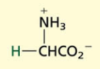 <p>Aliphatic[NONPOLAR]</p>