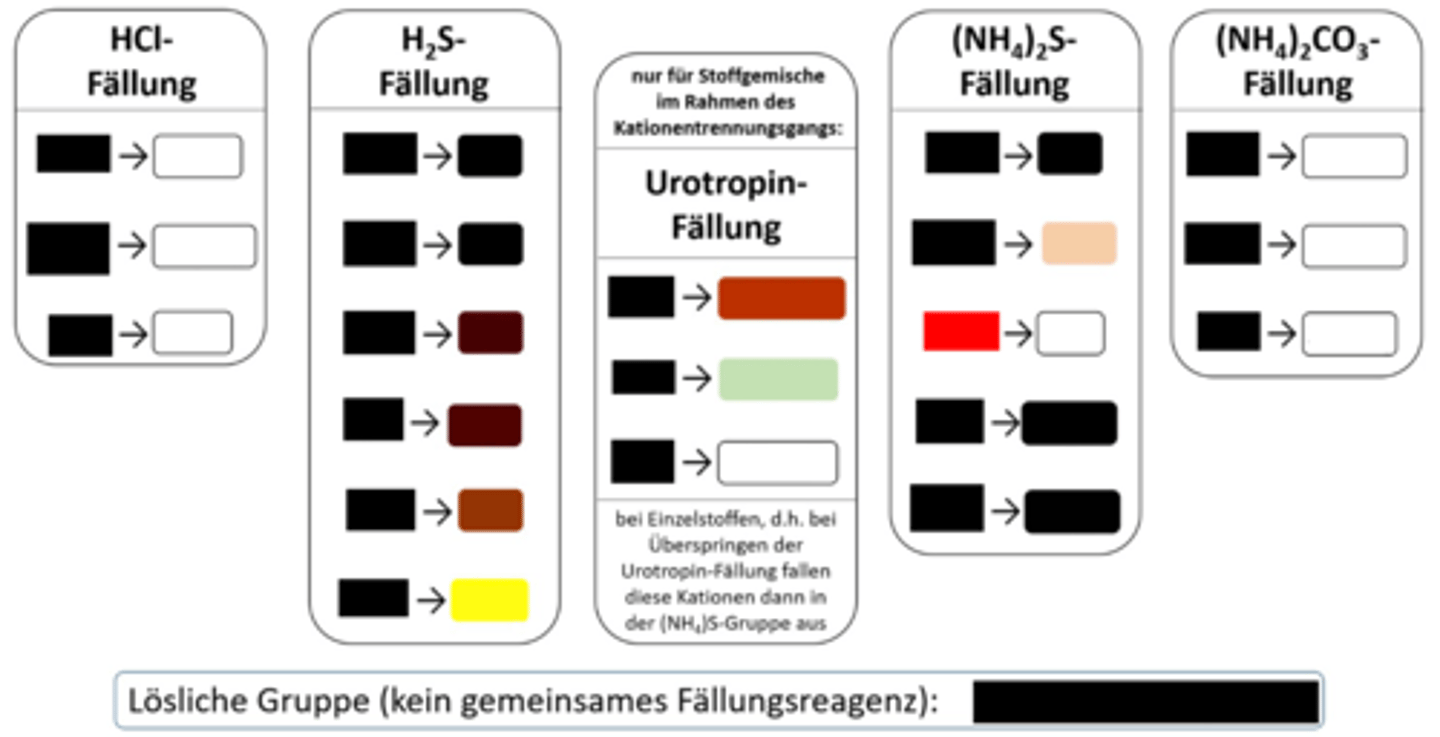 <p>(NH₄)₂S-Fällung, weißer NS</p>