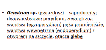 <p>Geastrum sp.</p><p>Gr.: BASIDIOMYCOTA</p><p>Podgr.: AGARICOMYCOTINA</p><p>Kl.: Agaricomycetes </p><p>Rz.: Geastrales</p>