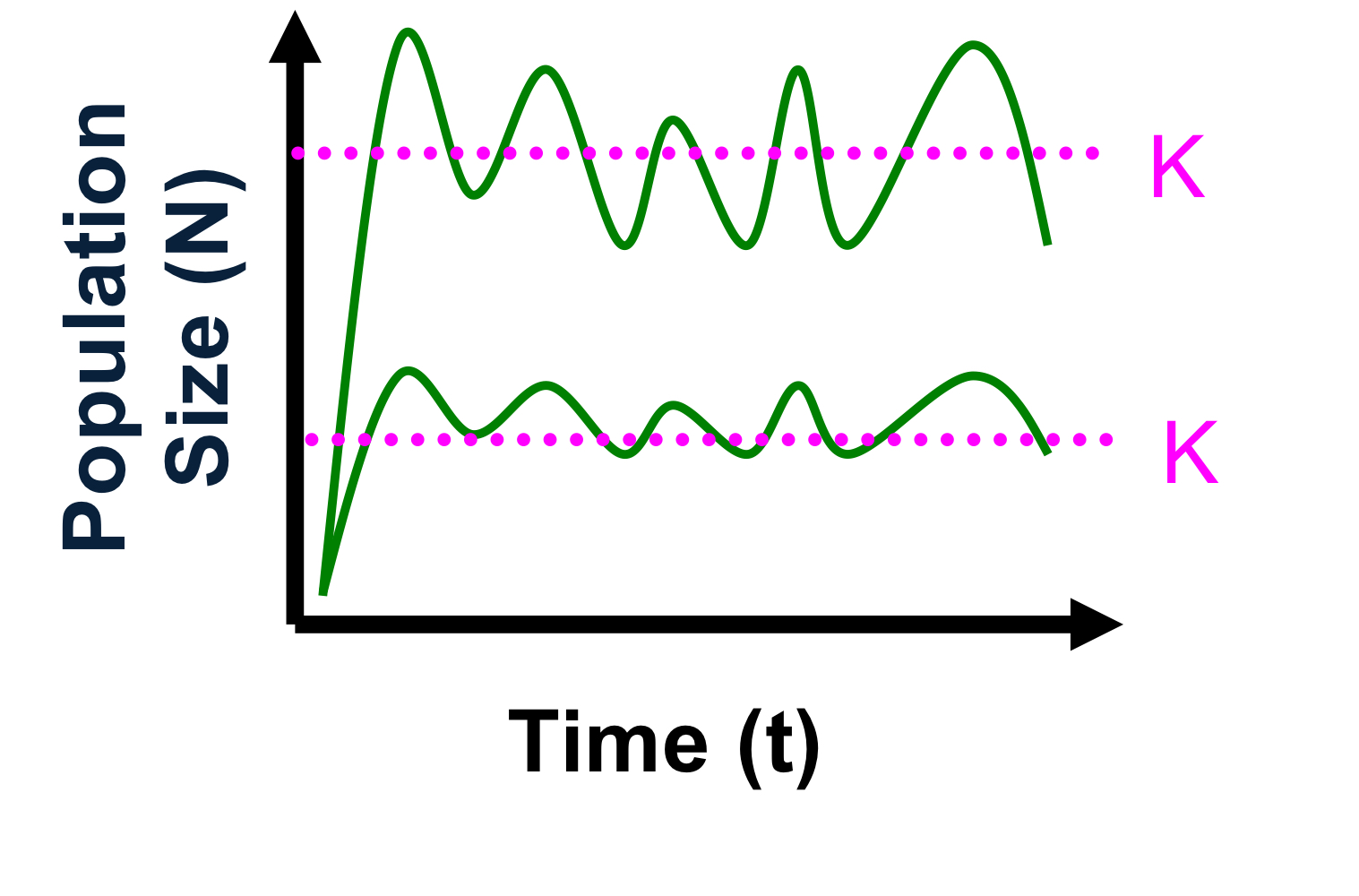 <p>explain the graph</p>