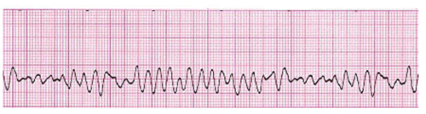 <p>What is this?</p>