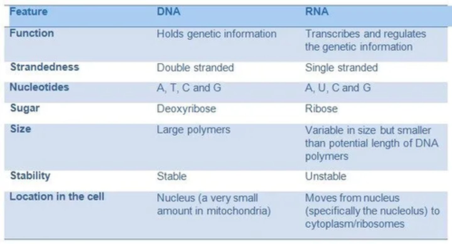 <p>NOTE: Please make sure that you use comparative terminology when answering an exam question like this!</p>