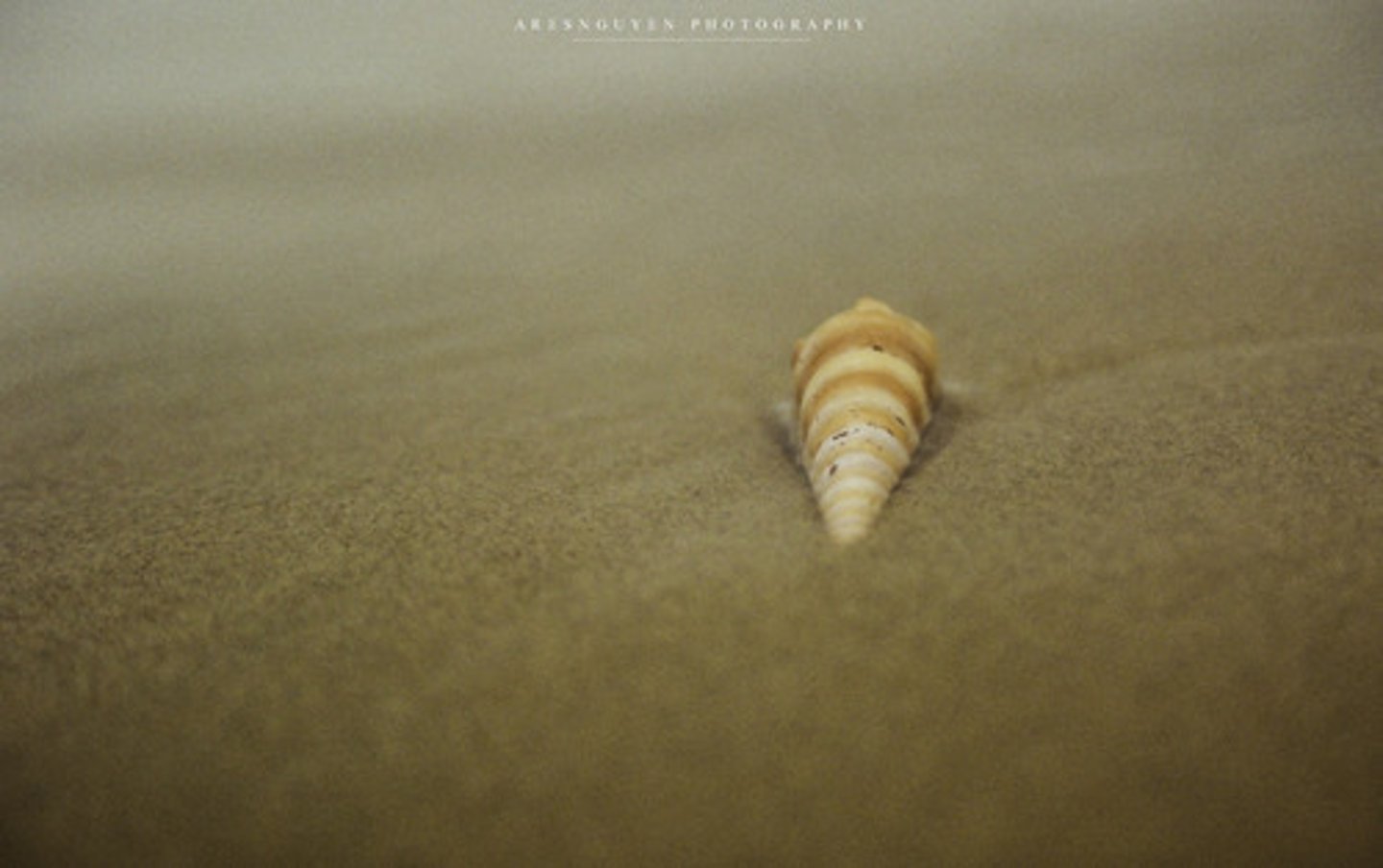 <p>only</p>