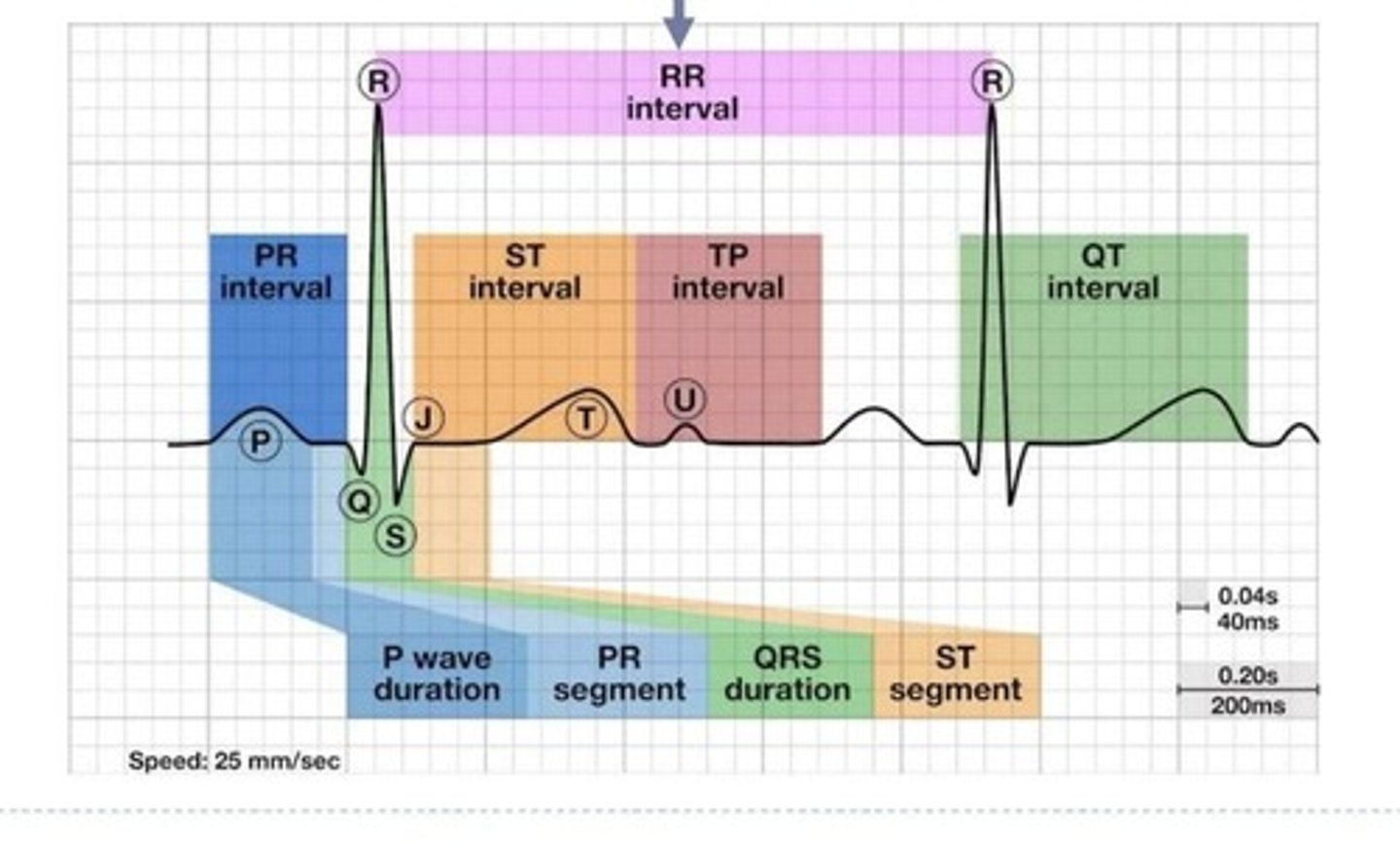 <p>Recording of electrical activity of the heart.</p>