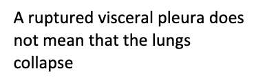 a collapsed or punctured lung from external means (punctured parietal pleura)