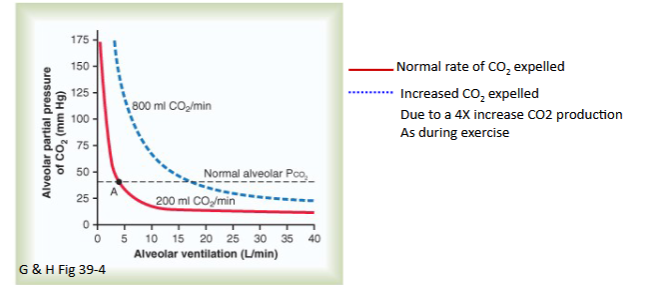 <p>As you can see, there is an inverse relationship between Partial Pressure of CO2 and Ventilation rate</p><div data-type="horizontalRule"><hr></div><p>Also, the graph is shifted to the right in the presence of more CO2 in the Alveoli/min; This is because ventilation has to increase to match the increased CO2 in the alveoli</p>