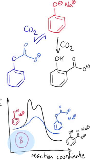 <ul><li><p>fast, reversible reaction with phenolate oxygen</p></li><li><p>slower, irreversible reaction at ortho-carbon</p></li></ul><p></p>