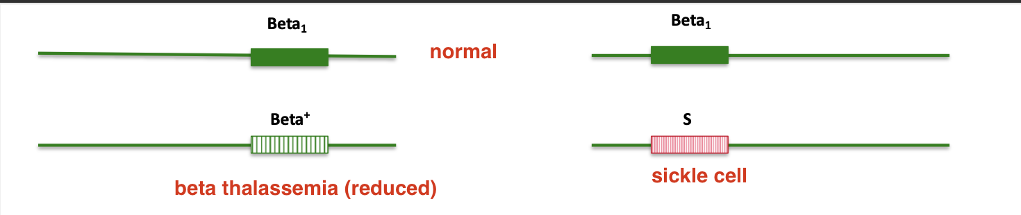 <p>combinations</p>