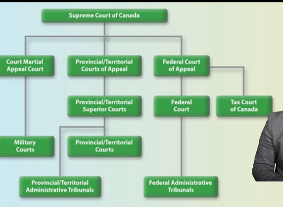 <ul><li><p>A higher court’s decision is <strong>binding</strong> on lower courts</p></li><li><p>A lower or equal court's decision is <strong>persuasive</strong> only</p></li><li><p>The core rule in a decision is the <strong>ratio decidendi</strong></p></li><li><p>Non-essential commentary is called <strong>obiter dictum</strong></p></li><li><p><strong>“adversarial system” </strong>- court hearing a dispute between 2 parties</p></li></ul><p></p>