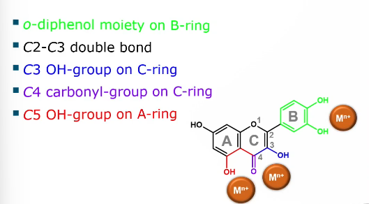 <ul><li><p>o-diphenol moiety on B ring</p></li><li><p>C2-C3 double bond</p></li><li><p>C3 OH group on C ring</p></li><li><p>C4 carbonyl group on C ring</p></li><li><p>C5 OH group on A ring</p></li></ul><p></p>
