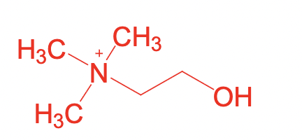 <p>What is this strucutre</p>