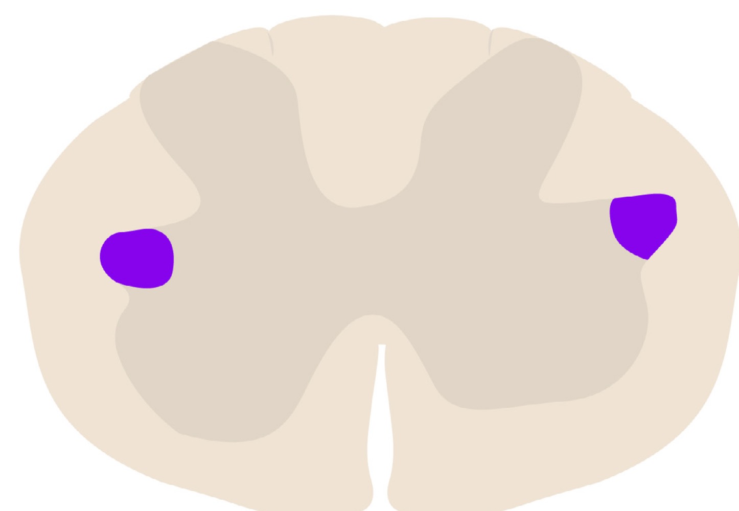 <p>name highlighted area </p>